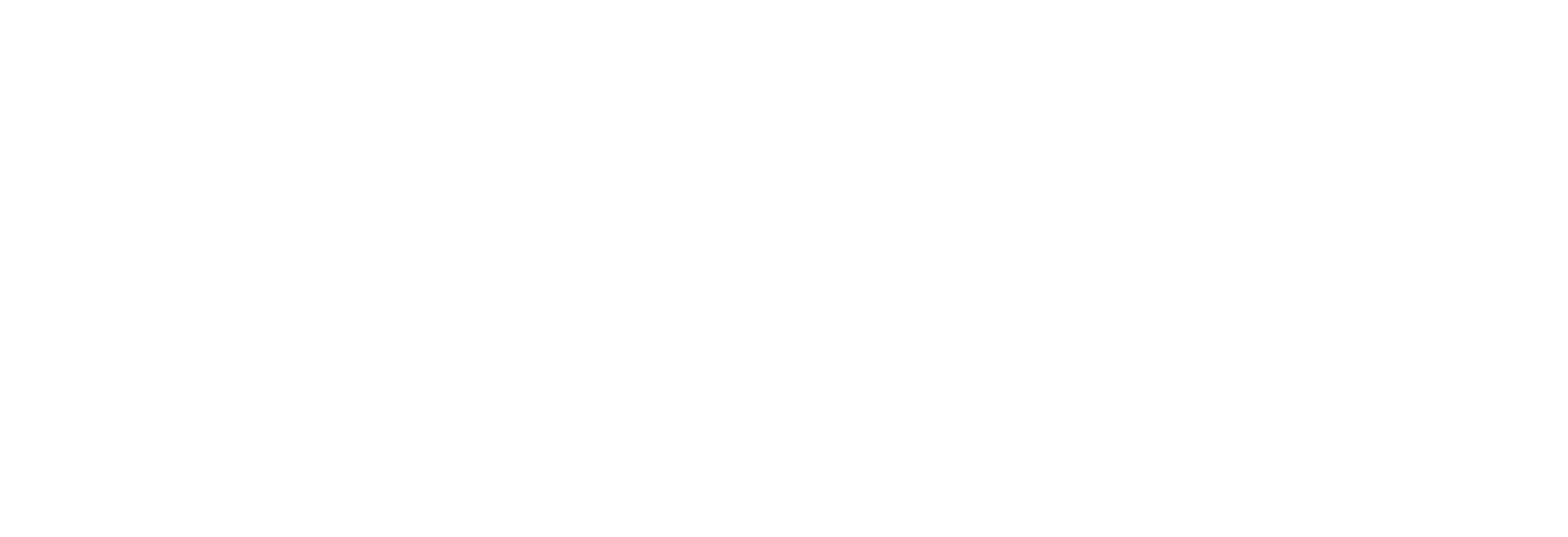 American National Election Studies logo